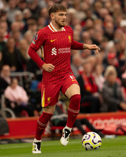 道出了他对 道出了他对