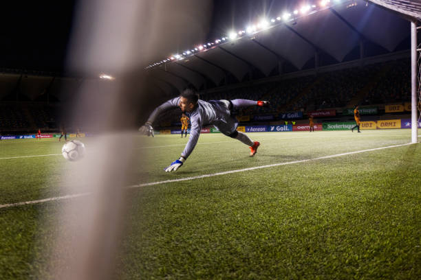 也成为年轻 也成为年轻